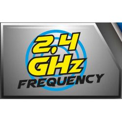 Radiostyrd Bil Bungarus Buggy 12 km/h 2,4 Ghz