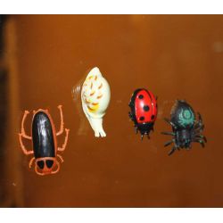 4 st. Insekter Krypande Fönsterklättrande