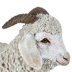 Papo Get Angora