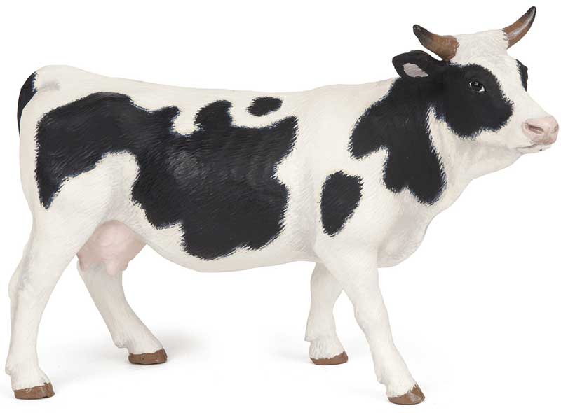Papo Ko Holstein
