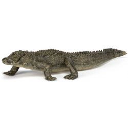 Papo Alligator