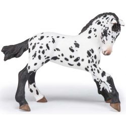 Papo Appaloosa föl svart