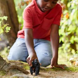 Schleich Gorilla Hane 14770