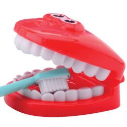 Dentist playset in carry case