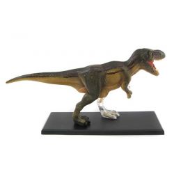 Dinosaurie Tyrannosaurus Rex Anatomi 38 cm