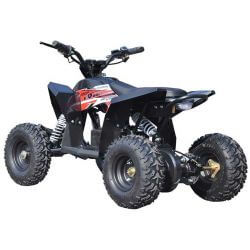 Mini ATV Eldriven till barn 1000 watt