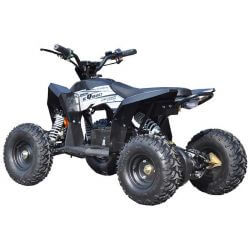 Mini ATV Eldriven till barn 1000 watt