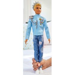 Barbie Ken Adventure Prinspop