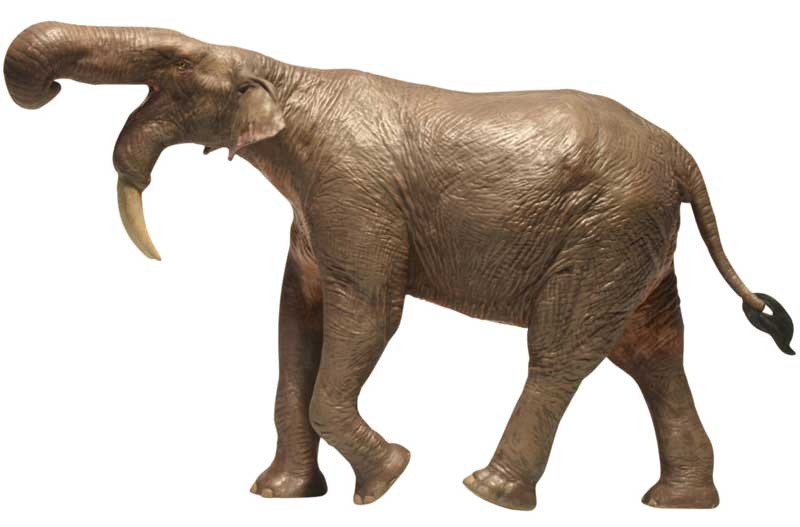 Deinotherium Elefant Leksaksdjur Eofauna
