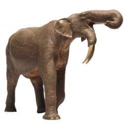 Eofauna Deinotherium Elefant