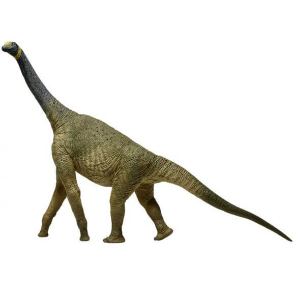 Eofauna Atlasaurus Dinosauriefigur