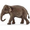 Schleich Asiatisk Elefant Hona 14753