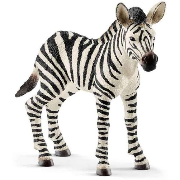 Schleich Zebra Föl 14811